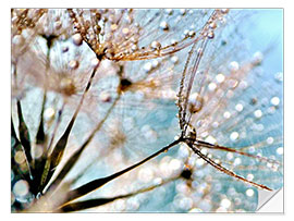 Wall sticker Pusteblume Bokeh Drops 