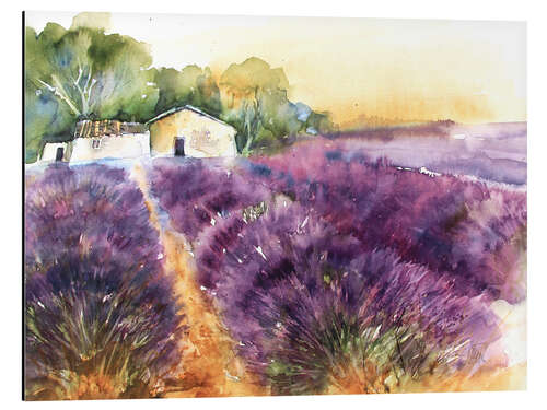 Quadro em alumínio Lavender field in Provence