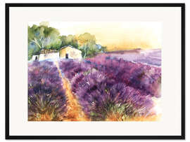 Gerahmter Kunstdruck Lavendelfeld in der Provence