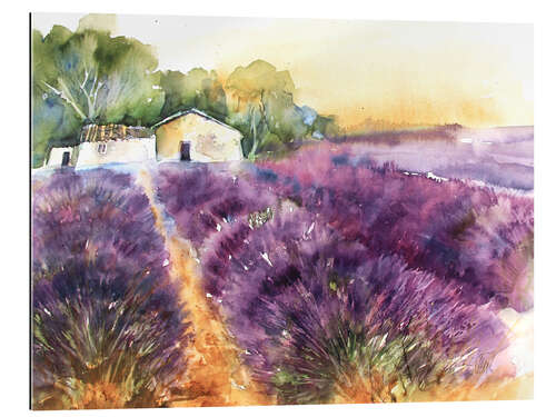 Gallery print Lavender field in Provence