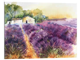 Gallery print Lavender field in Provence