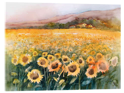 Acrylglasbild Sonnenblumenfeld im Luberon, Provence