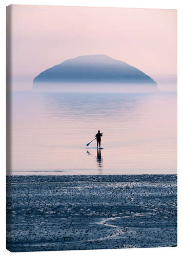 Quadro em tela Ilha solitária