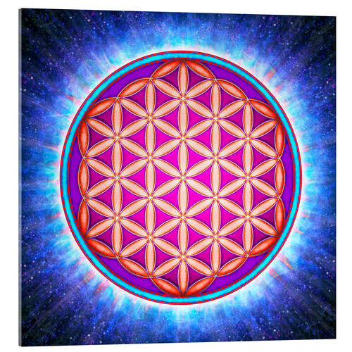 Acrylic print Flower Of Life - Primal Energy