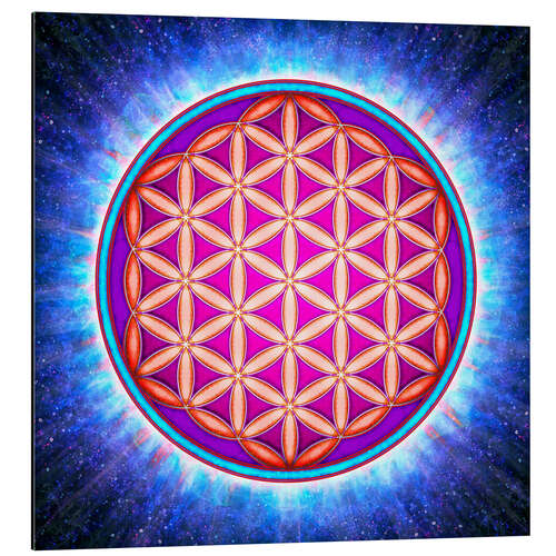 Aluminium print Flower Of Life - Primal Energy