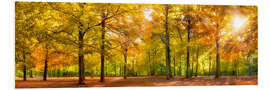 Hartschaumbild Bunter Herbstwald im Sonnenlicht