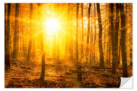 Selvklebende plakat Autumn forest in the backlight