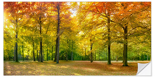 Wandsticker Herbstwald Panorama im Sonnenlicht