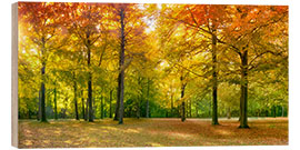 Holzbild Herbstwald Panorama im Sonnenlicht