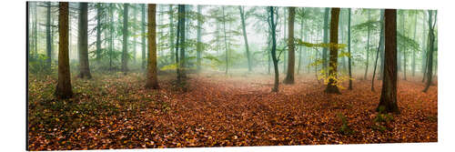 Stampa su alluminio Autumn forest panorama with red autumn leaves