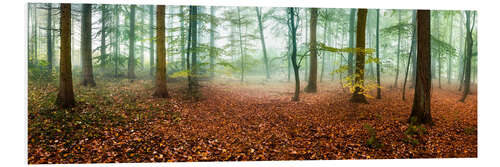 Cuadro de PVC Autumn forest panorama with red autumn leaves