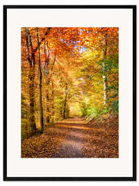 Framed art print Indian Summer in North America