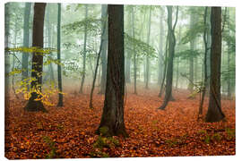 Canvas-taulu Red autumn leaves and fog in the forest