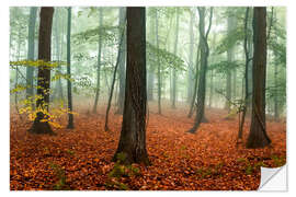 Selvklebende plakat Red autumn leaves and fog in the forest