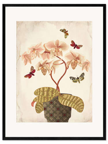 Stampa artistica con cornice Orchid Portrait