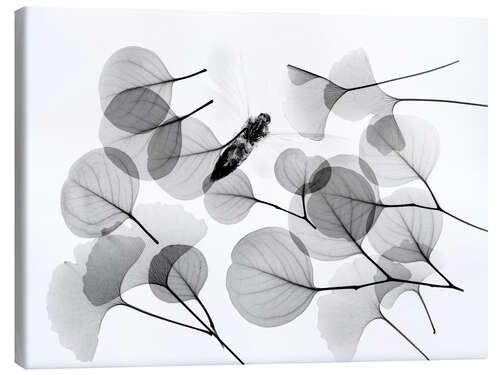 Canvas-taulu Ginkgo and bee