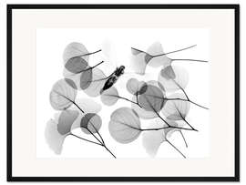 Gerahmter Kunstdruck Ginkgo und Biene