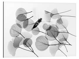 Magnettafel Ginkgo und Biene