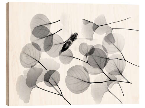 Wood print Ginkgo and bee