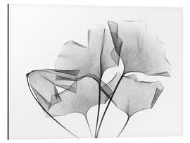 Tableau en aluminium Feuilles de ginkgo 