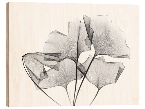 Wood print Ginkgo plant leaves