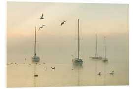 Akryylilasitaulu A misty morning over Lake Windermere Lake District