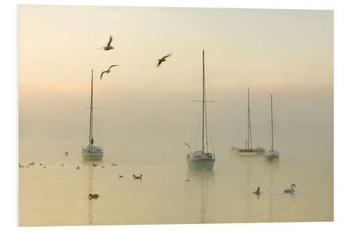 Hartschaumbild Stiller Nebel am See