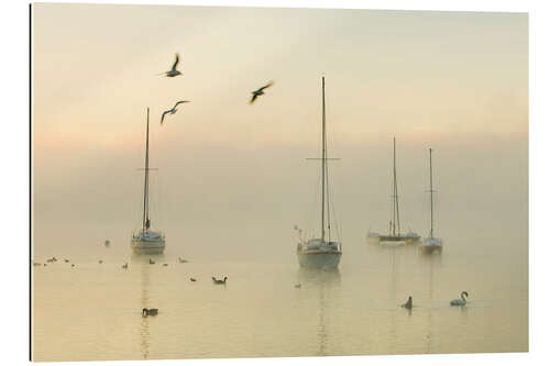 Gallery print A misty morning over Lake Windermere Lake District