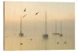 Quadro de madeira A misty morning over Lake Windermere Lake District