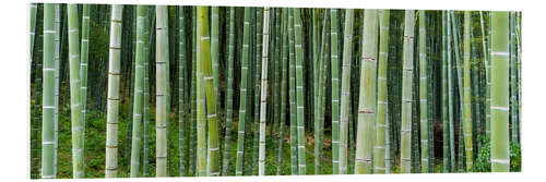 Tableau en PVC Green bamboo forest in Kyoto, Japan