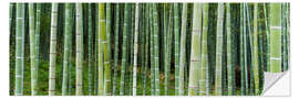 Wall sticker Green bamboo forest in Kyoto, Japan