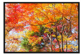 Gerahmter Kunstdruck Bunte Herbstblätter im Wald