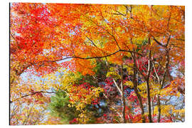 Magnettafel Bunte Herbstblätter im Wald