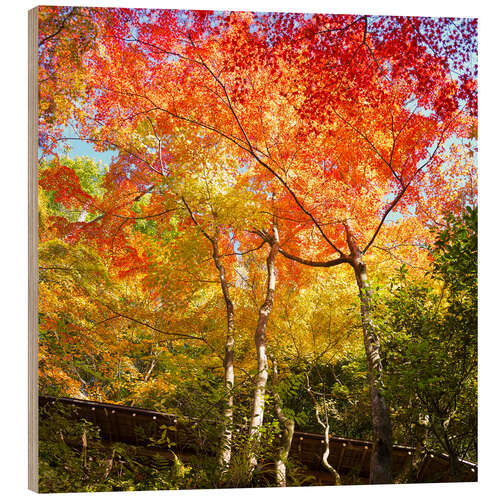 Holzbild Leuchtende Farben im Herbstwald