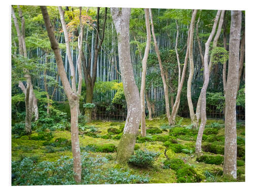 Tableau en PVC Gio-ji Temple in Arashiyama, Japan