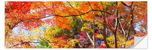 Selvklæbende plakat Colorful forest in autumn as Panorama