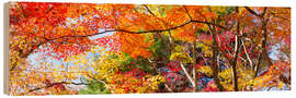 Print på træ Colorful forest in autumn as Panorama