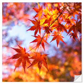 Naklejka na ścianę Japanese ornamental maple in Kyoto, Japan