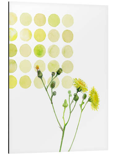 Stampa su alluminio Field Sowthistle in dots