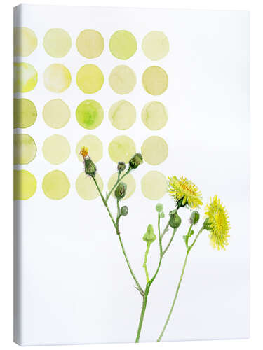 Canvas print Field Sowthistle in dots