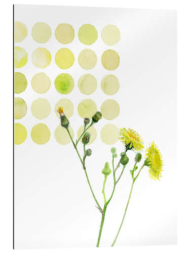 Gallery print Field Sowthistle in dots