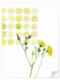 Wall sticker Field Sowthistle in dots