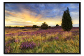 Gerahmter Kunstdruck Sonnenaufgang in der Lüneburger Heide