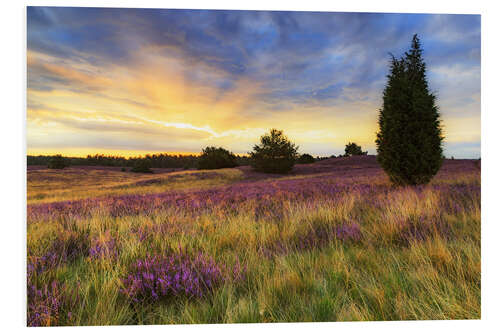 Foam board print Sunrise in the Lüneburg Heath