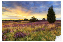 Wandsticker Sonnenaufgang in der Lüneburger Heide