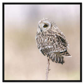 Gerahmter Kunstdruck Sumpfi