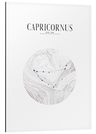 Cuadro de aluminio CAPRICORNUS | CAPRICORN