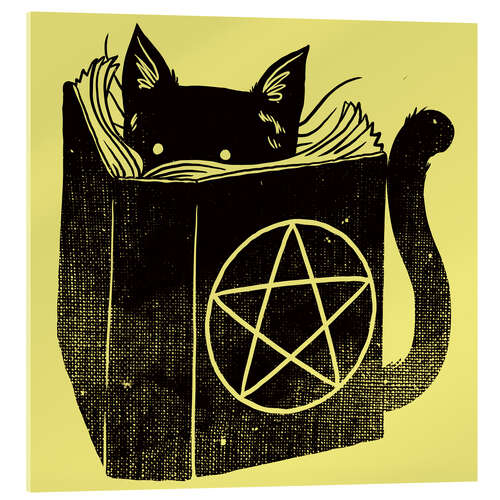 Acrylic print Witchcraft Cat