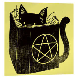 Stampa su vetro acrilico Witchcraft Cat