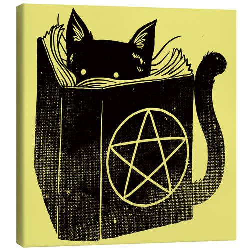 Leinwandbild Witchcraft Cat